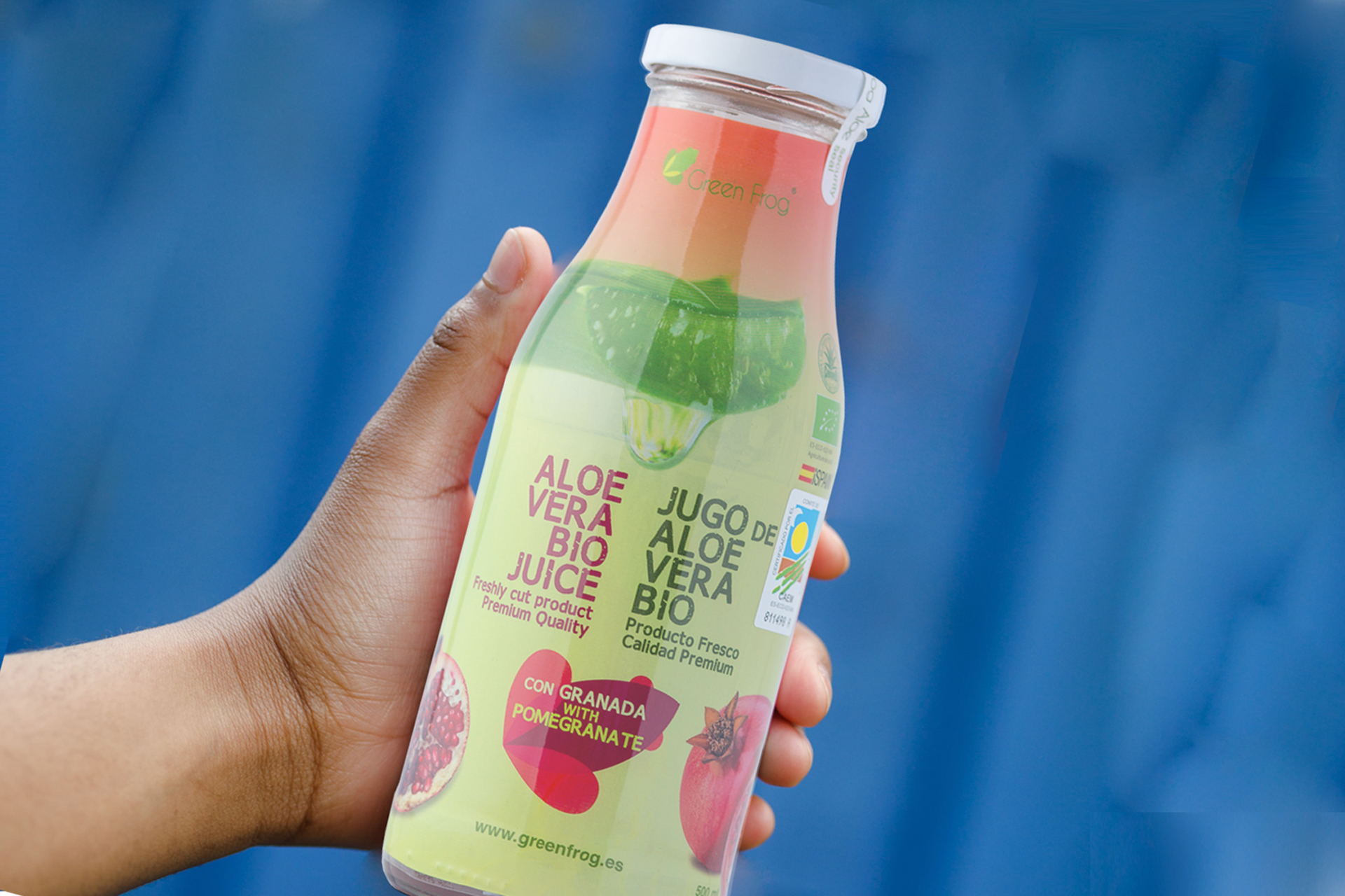 jugo de aloe vera con granada